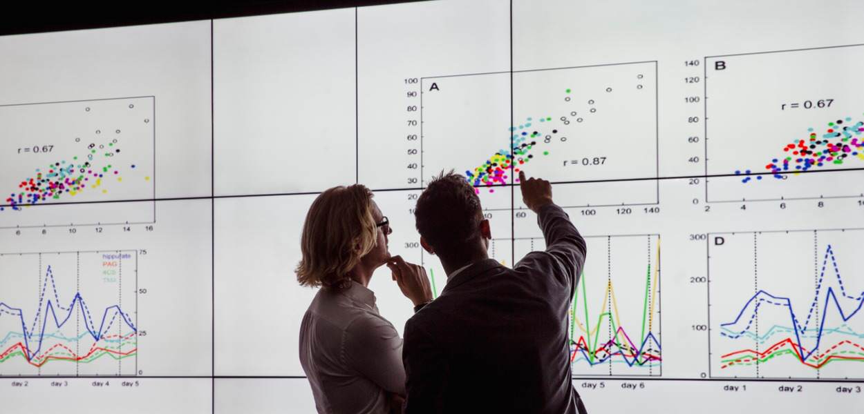 complex data on the office screen